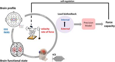 The potential of fNIRS, EEG, and transcranial current stimulation to probe neural mechanisms of resistance training